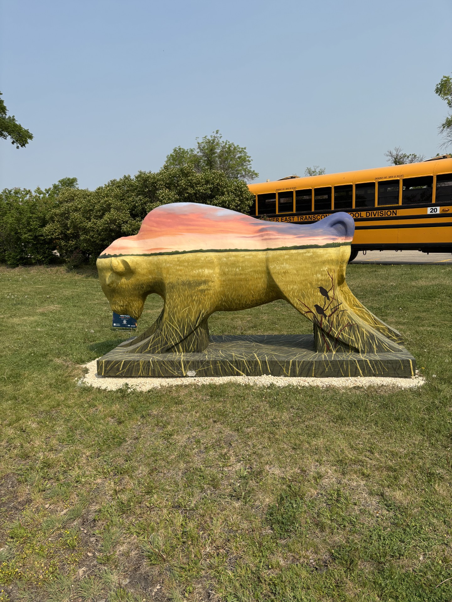 bison on the blvd.jpg (1018 KB)